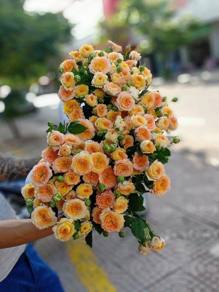 Shop hoa tươi giá rẻ Đà Nẵng